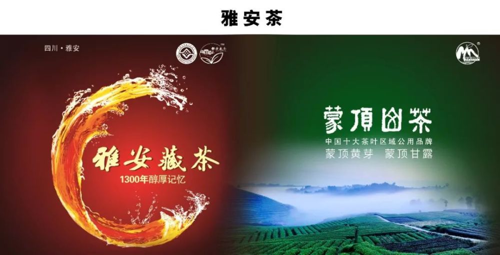 湄亚博潭蝉联中国茶业百强县第一名